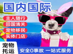 安康富强国际宠物托运 【国